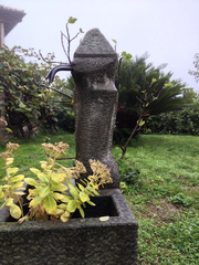 Gardone Riviera Sopra Bild 13